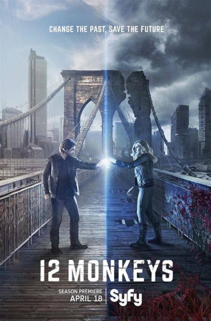 12 monkeys