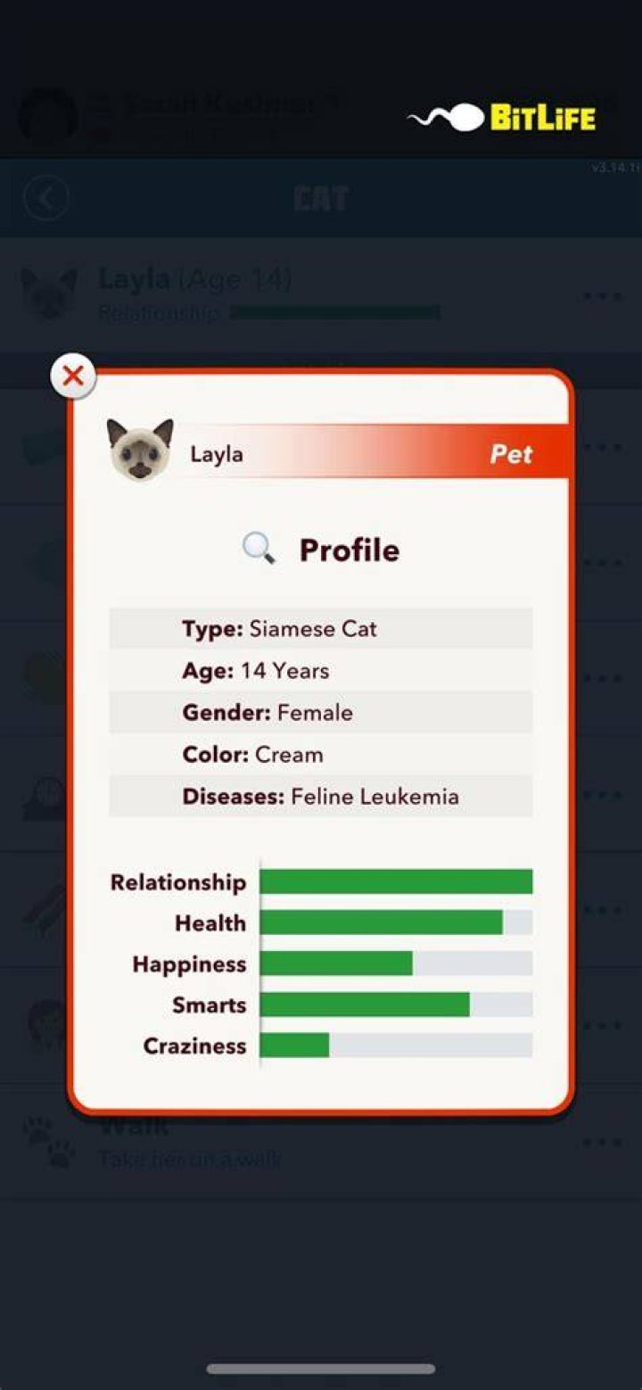 BitLife: How to Get More Space for Pets