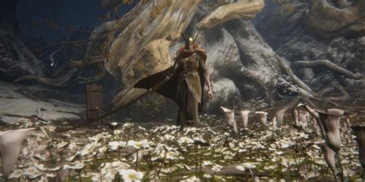 Elden Ring: What is the Elden Beast's Weakness?
