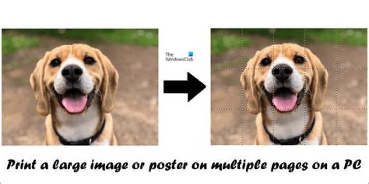 Large image.