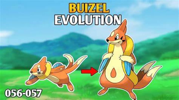 Pokemon Diamond Pearl Evolve Buizel