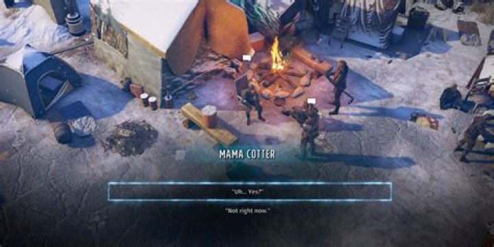 Wasteland 3 Co-op