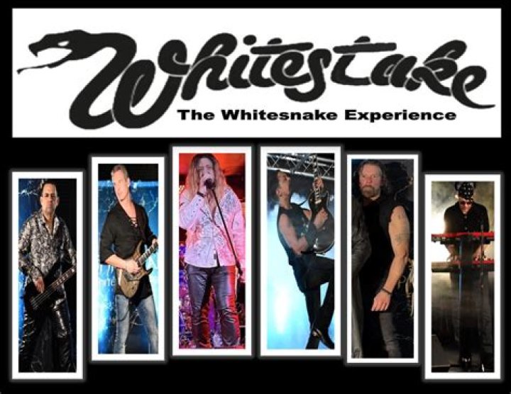 Whitesnake Archives | The Nerd Stash %